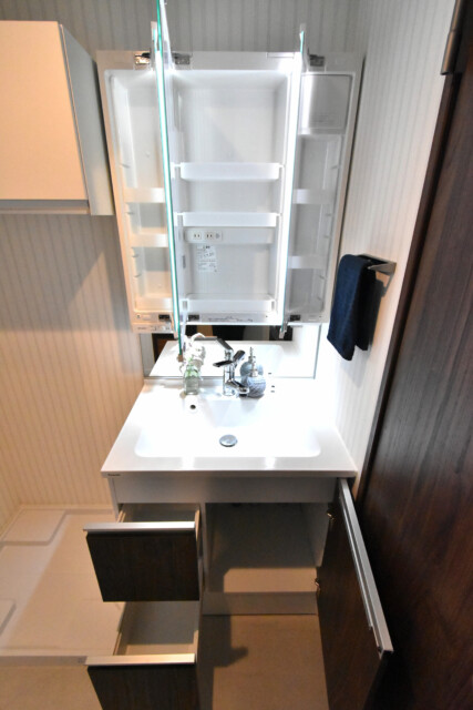 藤和大久保コープ 洗面室