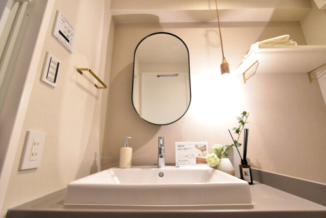 藤和三軒茶屋コープ 洗面室