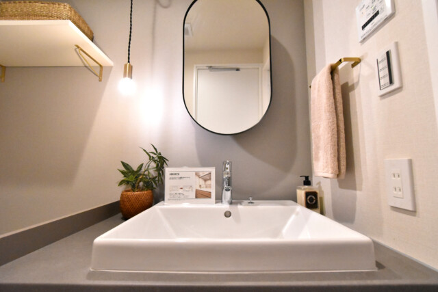 藤和三軒茶屋コープ 洗面室