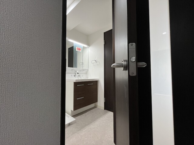 第2桜新町ヒミコマンション 洗面台