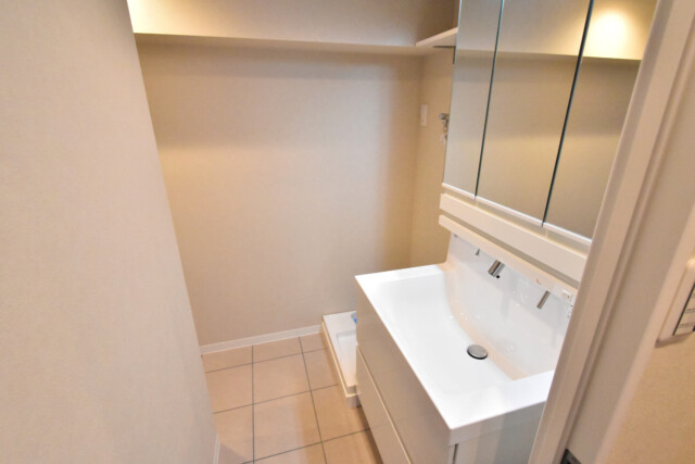 上馬ハイホーム 洗面室