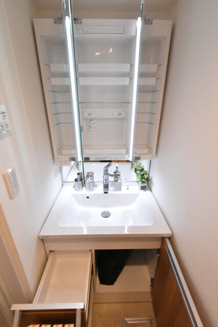 上馬ハイホーム 洗面室