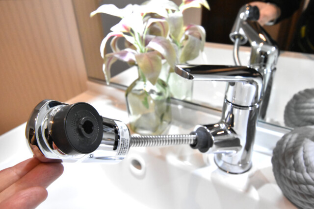 藤和大久保コープ 洗面室