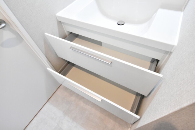 駒場ネオパレス 洗面室