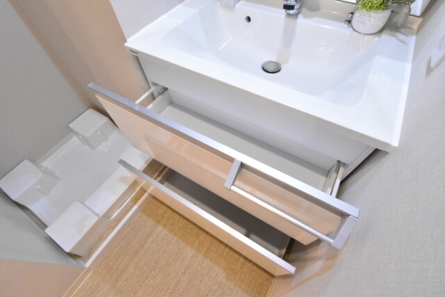 上馬フラワーホーム 洗面室