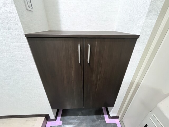 第2桜新町ヒミコマンション 玄関廊下 - コピー