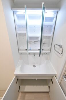 駒場ネオパレス 洗面室 駒場ネオパレス 洗面室