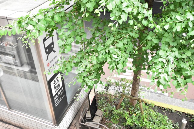 駒場ネオパレス バルコニー 駒場ネオパレス バルコニー