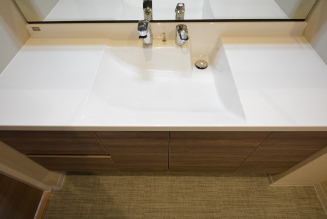 ツインシティ東砂アネックス 洗面室