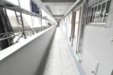 駒場ネオパレス 玄関 駒場ネオパレス 玄関