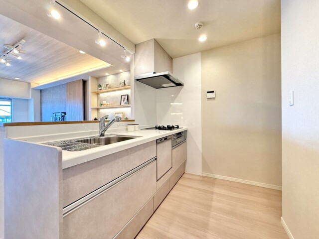 蒲田グリーンパーク キッチン 蒲田グリーンパーク キッチン