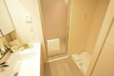 クレヴィア恵比寿 洗面室 クレヴィア恵比寿 洗面室