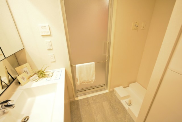 クレヴィア恵比寿 洗面室