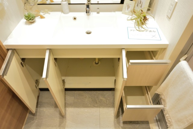 クレヴィア恵比寿 洗面室