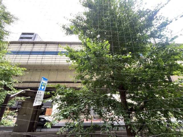 チサンマンション三軒茶屋第2 バルコニー