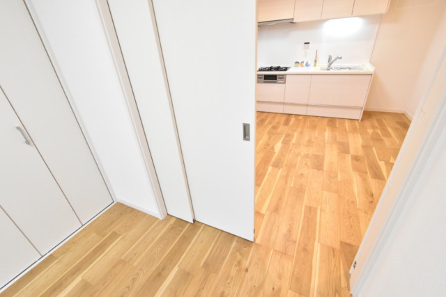 メガロン御殿山 洋室1