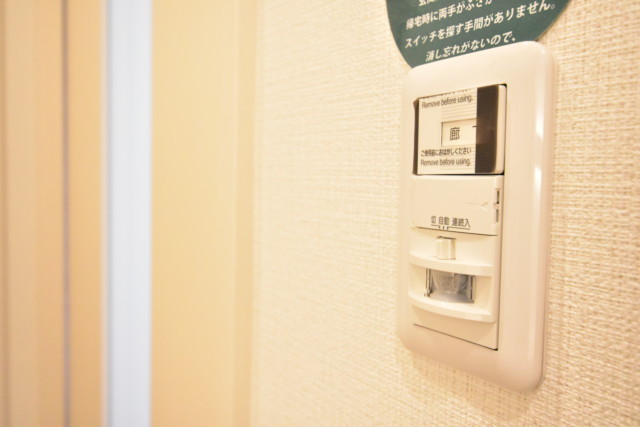 メガロン御殿山 玄関