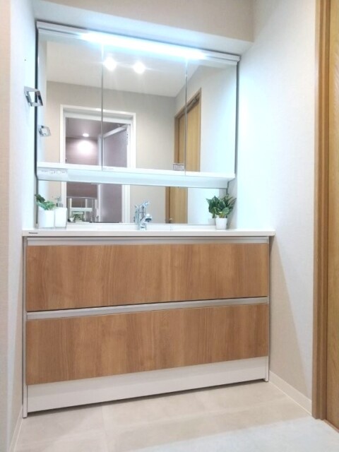 グランドシティ白山 洗面室