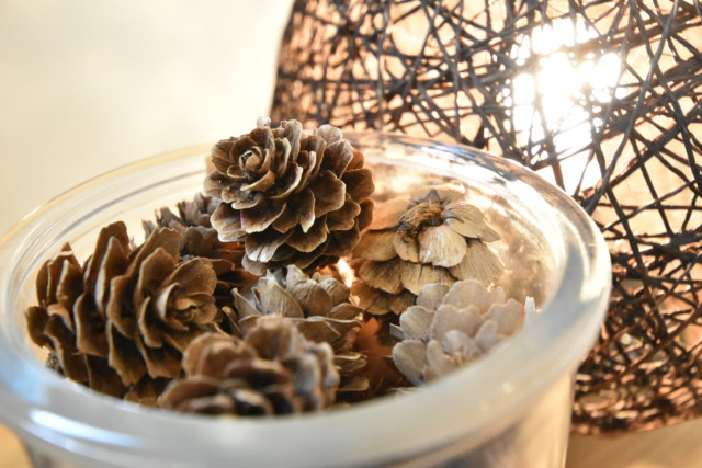 マンション高田馬場 洋室