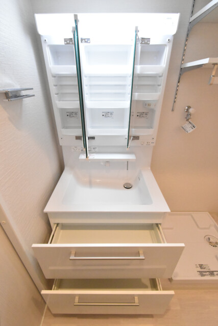 秀和第二南平台レジデンス 洗面室