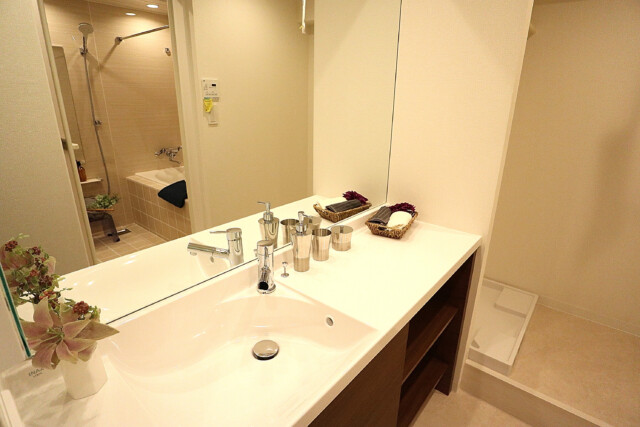 シャンボール常盤松d 洗面 (7)