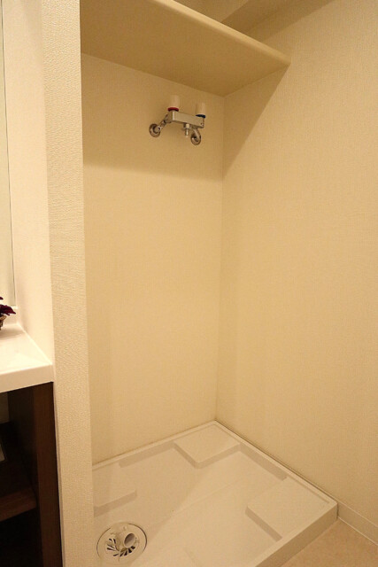 シャンボール常盤松d 洗面 (10)