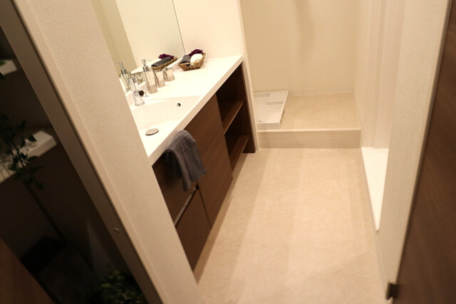 シャンボール常盤松d 洗面 (4)