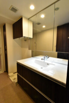 インプレストタワー芝浦エアレジデンス 洗面室