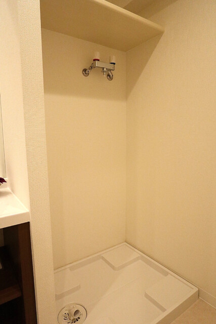 シャンボール常盤松d 洗面 (11)