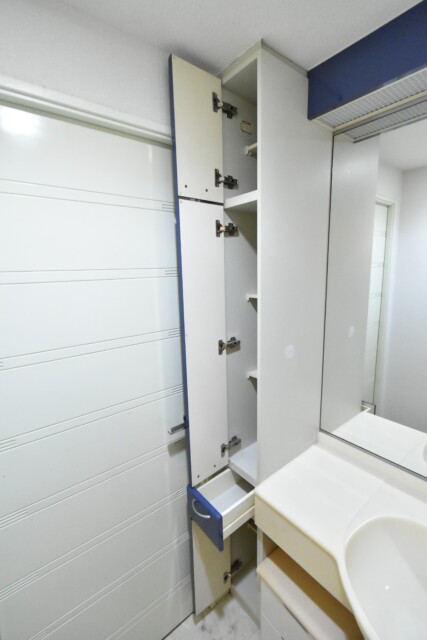 リシェ大井 洗面室