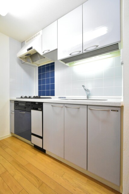 リシェ大井 キッチン