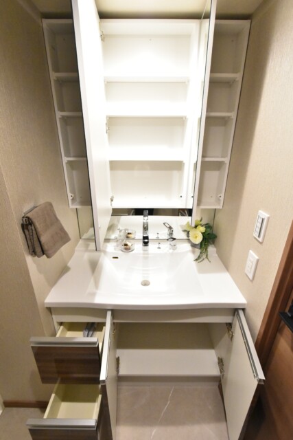 グランドメゾン目黒南 洗面室