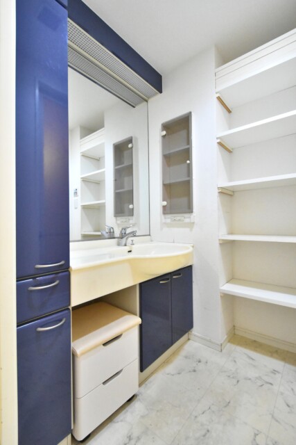 リシェ大井 洗面室