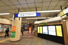 リシェ大井 大井駅周辺
