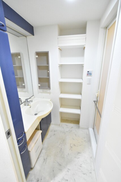 リシェ大井 洗面室