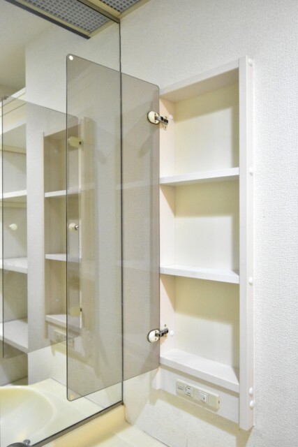 リシェ大井 洗面室