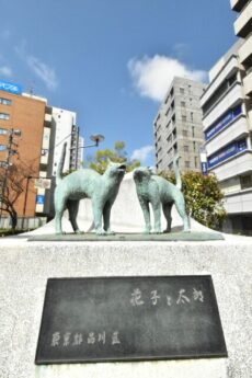 リシェ大井 大井駅周辺