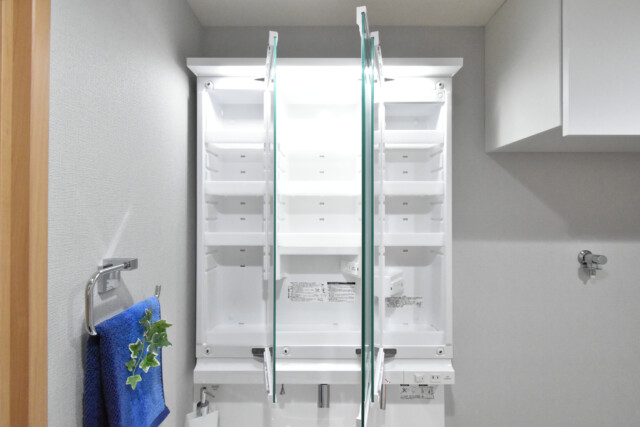 朝日目白台マンション 洗面室