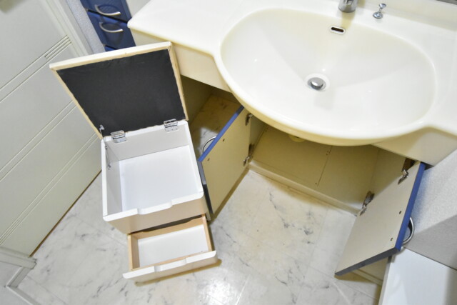 リシェ大井 洗面室