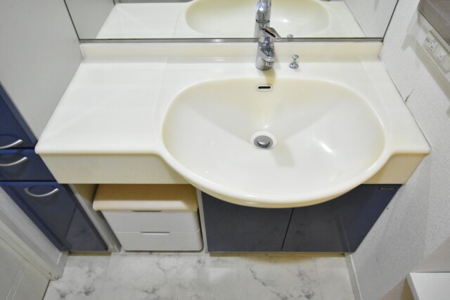 リシェ大井 洗面室