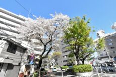 リシェ大井 大井駅周辺