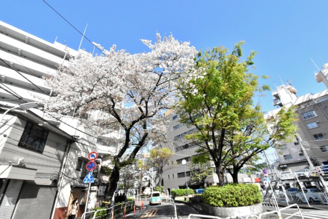 リシェ大井 大井駅周辺