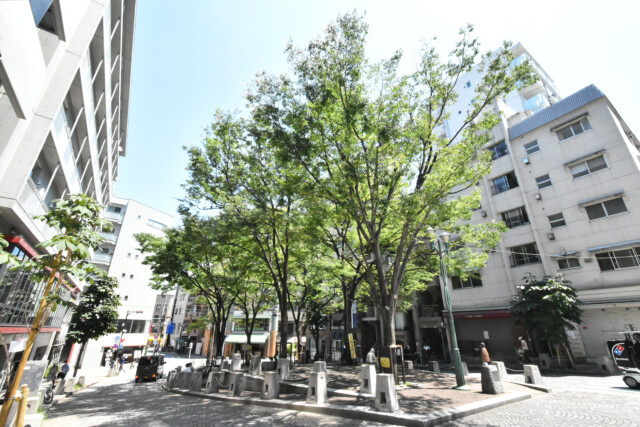 麻布十番周辺（西側）パティオ十番