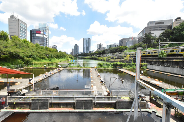 市ヶ谷駅周辺 釣り堀