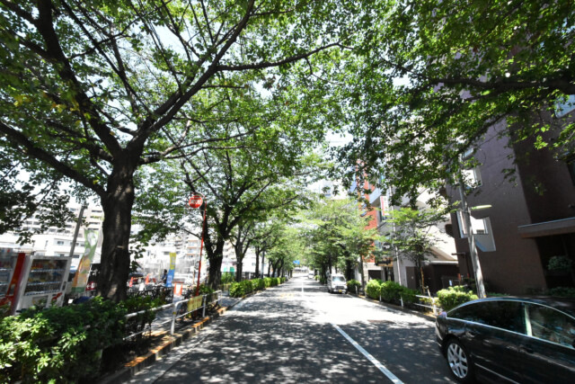 不動前周辺 かむろ坂通り 不動前周辺 かむろ坂通り