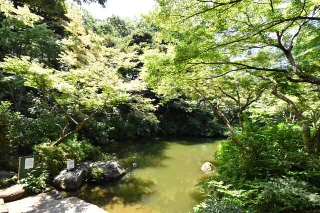 五反田周辺 池田山公園