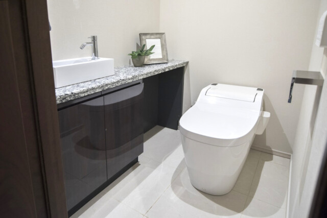 パークナード南麻布 トイレ