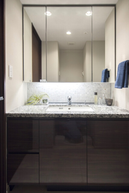 パークナード南麻布 洗面室