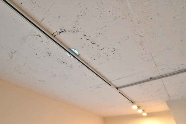 四谷コーエイマンション LDK