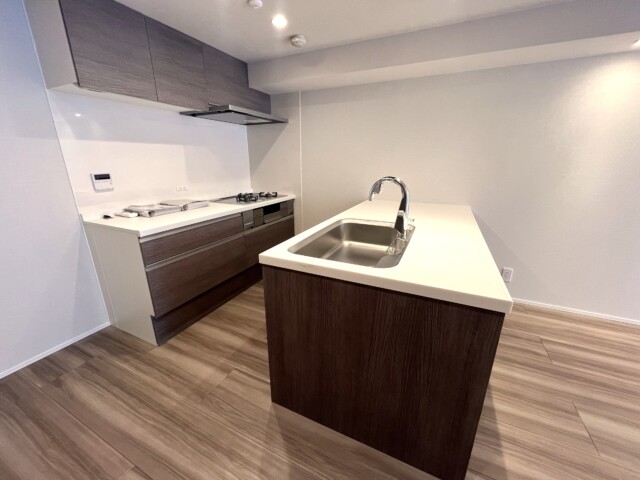 ビラハイツ北の丸 キッチン